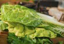 Wo der Mittwoch nach Gemüse riecht – 50 Jahre Bio-Markt in Villeneuve-sur-Lot Bio-Markt