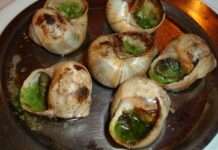 Schneckenklau in der Champagne – Ein Jahr Arbeit in einer Nacht geraubt Gourmet-Schnecken-Wikipedia