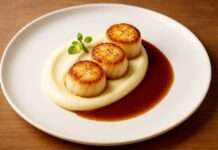 Coquilles Saint-Jacques rôties, Purée de Céleri et Jus de Veau réduit Coquilles-Saint-Jacques-rôties-Purée-de-Céleri-et-Jus-de-Veau-réduit