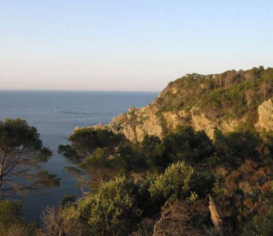 Île de Porquerolles – Ruhe und mediterrane Magie jenseits des Sommers Porquerolles_Wikipedia