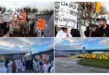 BASF in der Kritik: Protest gegen „ewige Gifte“ bringt Chemieriesen in Erklärungsnot PFAS_Protest_BASF_ScreenX