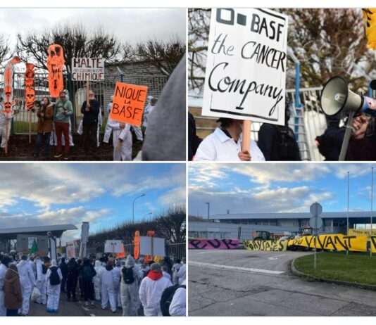 BASF in der Kritik: Protest gegen „ewige Gifte“ bringt Chemieriesen in Erklärungsnot PFAS_Protest_BASF_ScreenX