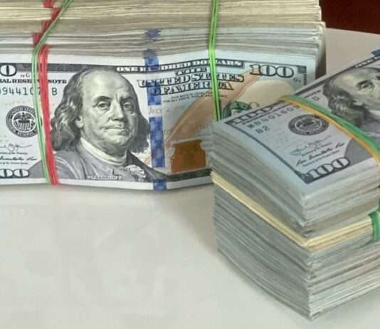 8000 Dollar auf der Raststättentoilette – und ein kleines Wunder auf einer französischen Autobahn Dollar