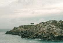 Die Bretagne dreht an der Steuerschraube – Zweitwohnungsbesitzer unter Druck Ferienhaus_Bretagne