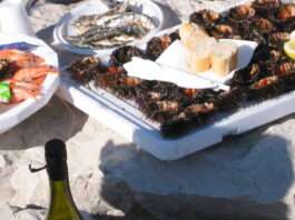 Carry-Le-Rouet-Oursinades_Wikipedia