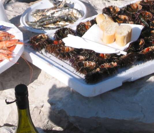 Meeresschätze im Winter: Die Seeigel‑Saison an der Côte d’Azur erleben Carry-Le-Rouet-Oursinades_Wikipedia