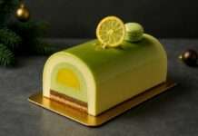 Moderne Bûche de Noël Moderne-Bûche-de-Noël