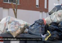 Wenn der Abfall die Stadt regiert – Müllstreik im winterlichen Lille Müllstreik_Lille_Screenshot FTV