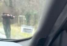 Schüsse am Straßenrand: Wie ein erschossenes Wildschwein das Département Indre erschüttert Schüsse-auf-Strasse_ScreenX