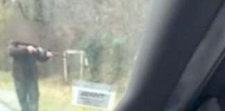 Schüsse am Straßenrand: Wie ein erschossenes Wildschwein das Département Indre erschüttert Schüsse-auf-Strasse_ScreenX