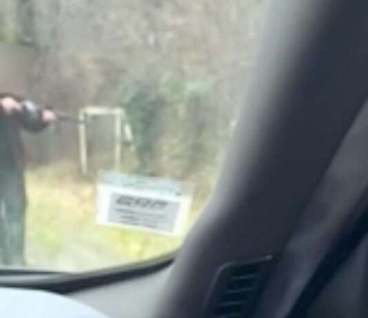 Schüsse am Straßenrand: Wie ein erschossenes Wildschwein das Département Indre erschüttert Schüsse-auf-Strasse_ScreenX