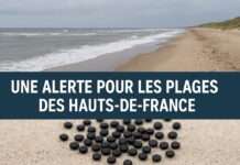 Plastikkugeln vor der Küste – eine unsichtbare Gefahr bedroht die Strände Nordfrankreichs Warnung-vor-Plastikverschmutzung_Illustration