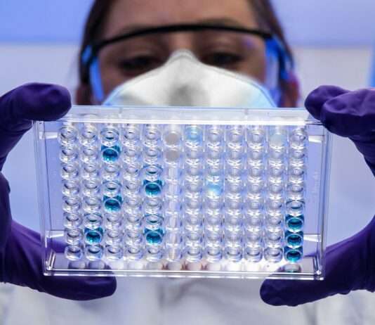 Der „Schraubenzieher-Vergewaltiger“ von Poitiers – wie moderne DNA-Fahndung ein Jahrzehnt des Schweigens durchbrach DNA_Analyse