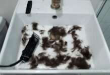 Kind gedemütigt: Wie ein Pariser Jugendheim unter den Verdacht systemischer Gewalt gerät Haarschneiden