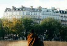 Baumfrevel im Herzen von Paris – Eine Stadt empört sich Bäume_Paris