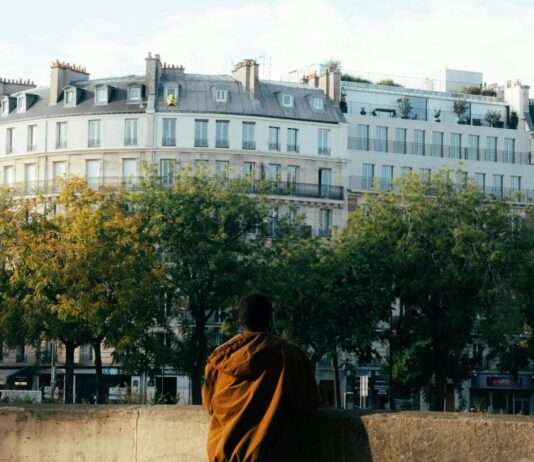 Baumfrevel im Herzen von Paris – Eine Stadt empört sich Bäume_Paris