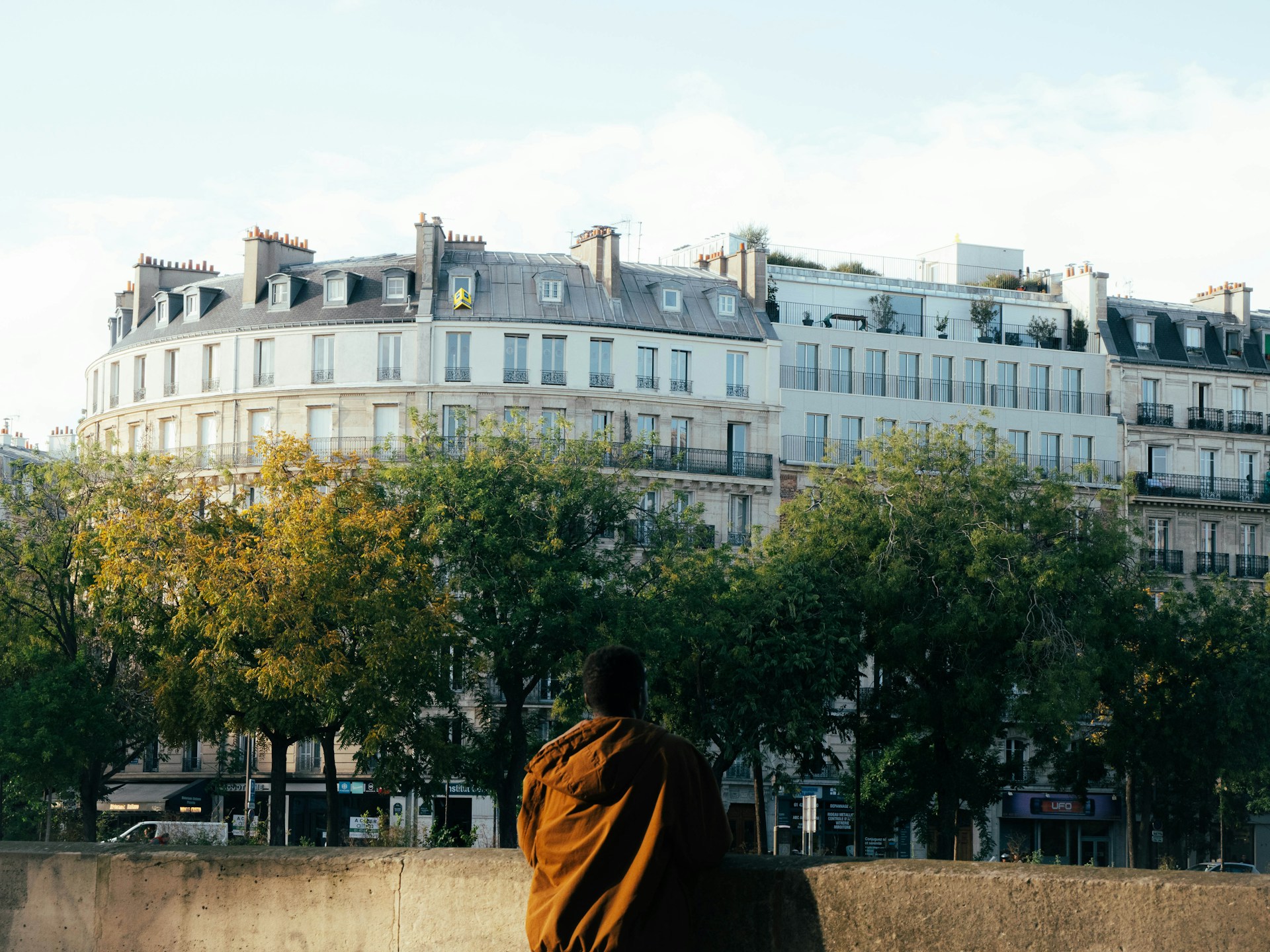 Baumfrevel im Herzen von Paris – Eine Stadt empört sich