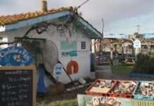 Zwischen Pinien und Atlantik – warum die Austernhütten von Arcachon mehr sind als nur Postkartenmotive Austernhütten_Arcachon_ScreenFTV