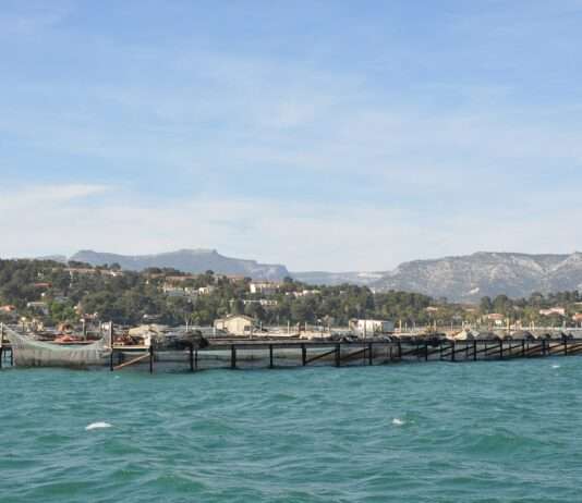 Norovirus im Mittelmeer: Warum die Baie du Lazaret plötzlich zum Sperrgebiet wurde Baie_du_Lazaret,_La_Seyne-sur-Mer,_Provence-Alpes-Côte_d'Azur,_France_-_panoramio_Wikipedia