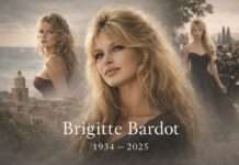Warum Frankreich Brigitte Bardot keinen nationalen Abschied gab Beerdigung_Brigitte-Bardot_Illustration
