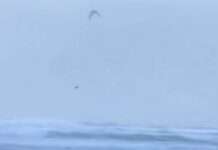 37,3 Meter über der Brandung – wie ein junger Bretone der Sturmgewalt trotzt Clément-Huot_ScreenX