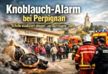 Der Duft der Vorsicht – warum eine Knoblauchwolke nahe Perpignan zur Räumung einer Schule führte Knoblauch-Alarm-Evakuierung-Schule_Illustration