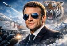 Kommentar: Der Mann mit der Sonnenbrille – oder: Wenn Staatskunst plötzlich blendet Macron-Sonnenbrille_Illustration