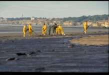 Das schwarze Gedächtnis des Meeres – warum man in der Bretagne mehr als 25 Jahre nach der „Erika“ erneut ölverschmierte Vögel findet Marée_noire_de_l'Erika_-_Wikipedia