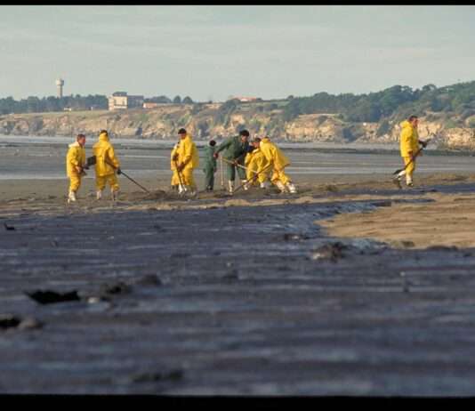 Das schwarze Gedächtnis des Meeres – warum man in der Bretagne mehr als 25 Jahre nach der „Erika“ erneut ölverschmierte Vögel findet Marée_noire_de_l'Erika_-_Wikipedia