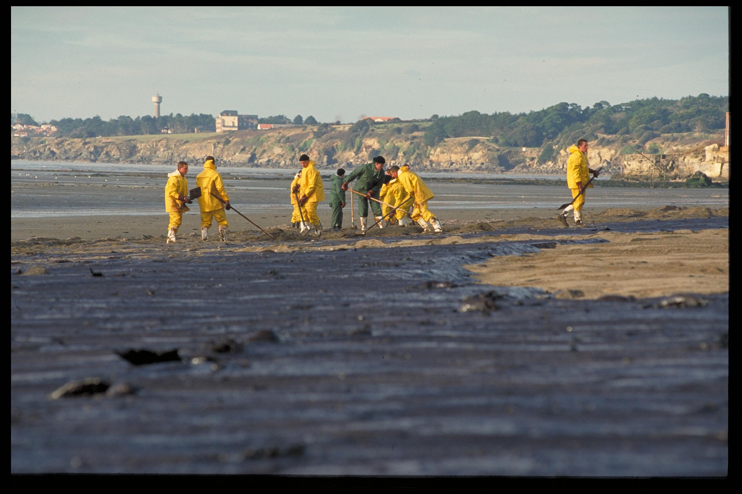 Das schwarze Gedächtnis des Meeres – warum man in der Bretagne mehr als 25 Jahre nach der „Erika“ erneut ölverschmierte Vögel findet