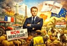 Kommentar: Agrarland à la dérive – Frankreichs große Kunst, keine Agrarpolitik zu haben Nein-zu-Mercosur_Illustration