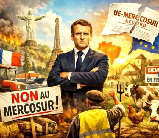 Kommentar: Agrarland à la dérive – Frankreichs große Kunst, keine Agrarpolitik zu haben Nein-zu-Mercosur_Illustration