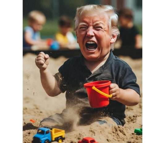 Kommentar: Weltpolitik im Sandkasten – und wir dürfen zuschauen Trump_Sandkasten_Illustration