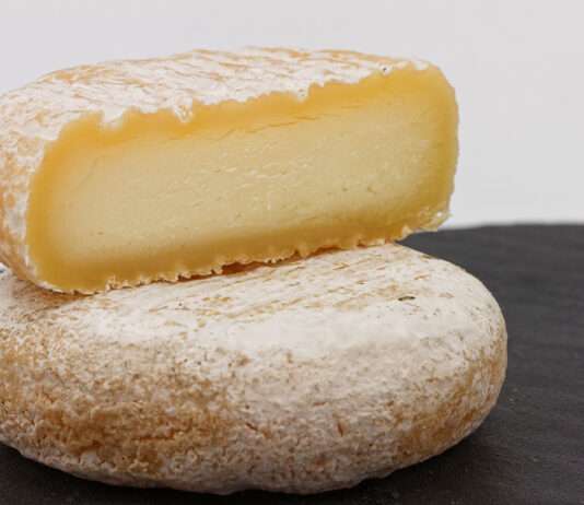 Picodon: Der kleine Käse mit großer Geschichte Wikicheese_-_Picodon_-_20150417_-_003