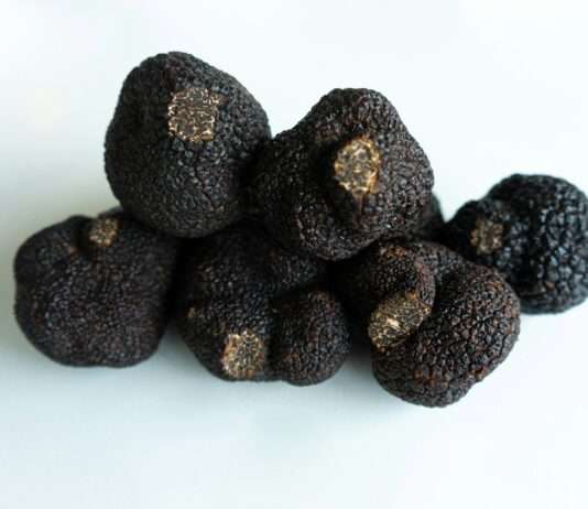 Trüffelzauber in Sarlat: Wenn der „Schwarze Diamant“ für alle zum Fest wird Schwarzer-Trüffel-Perigord