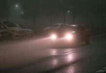 Wenn der Nebel gefriert und die Straße zur Falle wird – Serienunfälle in der Seine-Maritime Nebel_Strasse