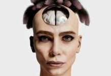 Hirntumore – die leise Krise im Schatten der großen Krebsdebatten Gehirntumor_Illustration_Unsplash