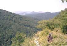 Iraty – Europas grüne Kathedrale im Herzen des Baskenlands Irati_vista