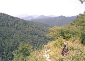 Iraty – Europas grüne Kathedrale im Herzen des Baskenlands Irati_vista