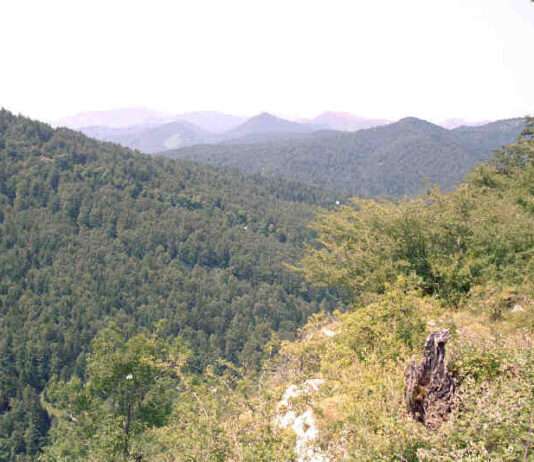 Iraty – Europas grüne Kathedrale im Herzen des Baskenlands Irati_vista