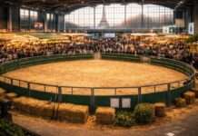 Ein Salon ohne Muhen – Frankreichs Landwirtschaft ringt um ihre Seele Landwirtschaftsmesse-Paris-Illustration