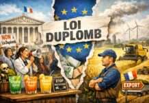 Zwischen Wettbewerbsdruck und Gesundheitsschutz: Der erbitterte Streit um die «Loi Duplomb» Loi-Duplomb_Pestizide_Illustration