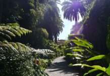 Val Rahmeh – Mentons grünes Wunder über dem Meer Val_Rahmeh_Wikipedia