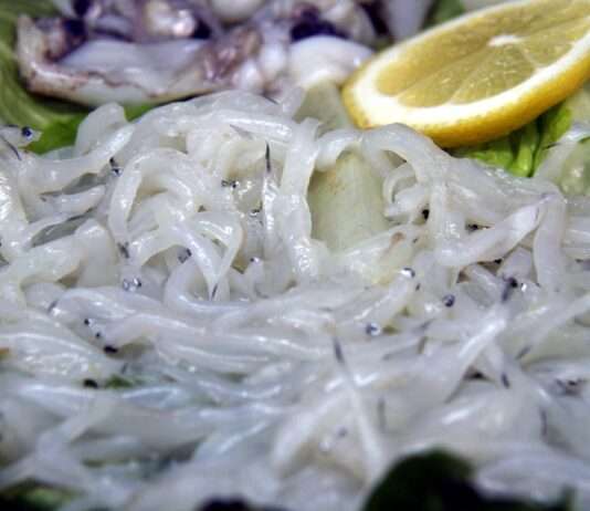 Der „gläserne“ Schatz der Flüsse – Wie der Schmuggel von Glasaalen zwischen Frankreich und Spanien floriert Civelles-Glasaale