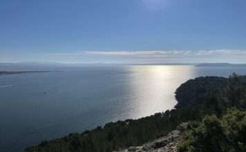 Gerichtsurteil mit Signalwirkung: Staat und EDF für ökologische Schäden am Étang de Berre verurteilt Etang-de-Berre