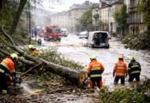 Wenn der Sturm geht, bleiben die Rechnungen: Französische Gemeinden rufen nach Hilfe des Staates Sturmschäden-Kosten-Klimawandel_Illustration