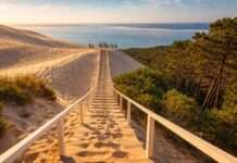 Zwischen Sand und Stufen – wie die Dune du Pilat den Frühling begrüßt Treppe-Dune-du-Pilat_Illustration