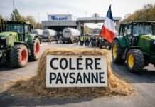 Zwischen Zapfsäule und Staatskrise: Frankreichs neue Energieproteste nehmen Fahrt auf Bauernprotest-Treibstoffpreise_Illustration