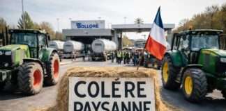 Zwischen Zapfsäule und Staatskrise: Frankreichs neue Energieproteste nehmen Fahrt auf Bauernprotest-Treibstoffpreise_Illustration