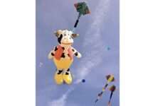 Wenn der Himmel tanzt: Das Drachenfestival von Berck 2026 Cerfs_volants_Berck_2025_Wikipedia